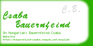 csaba bauernfeind business card